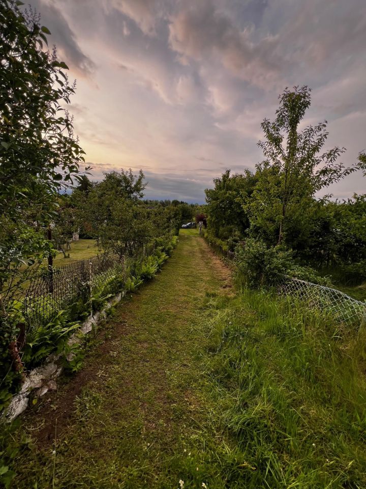 Działka rod Elbląg, ul. Działkowa. Zdjęcie 2