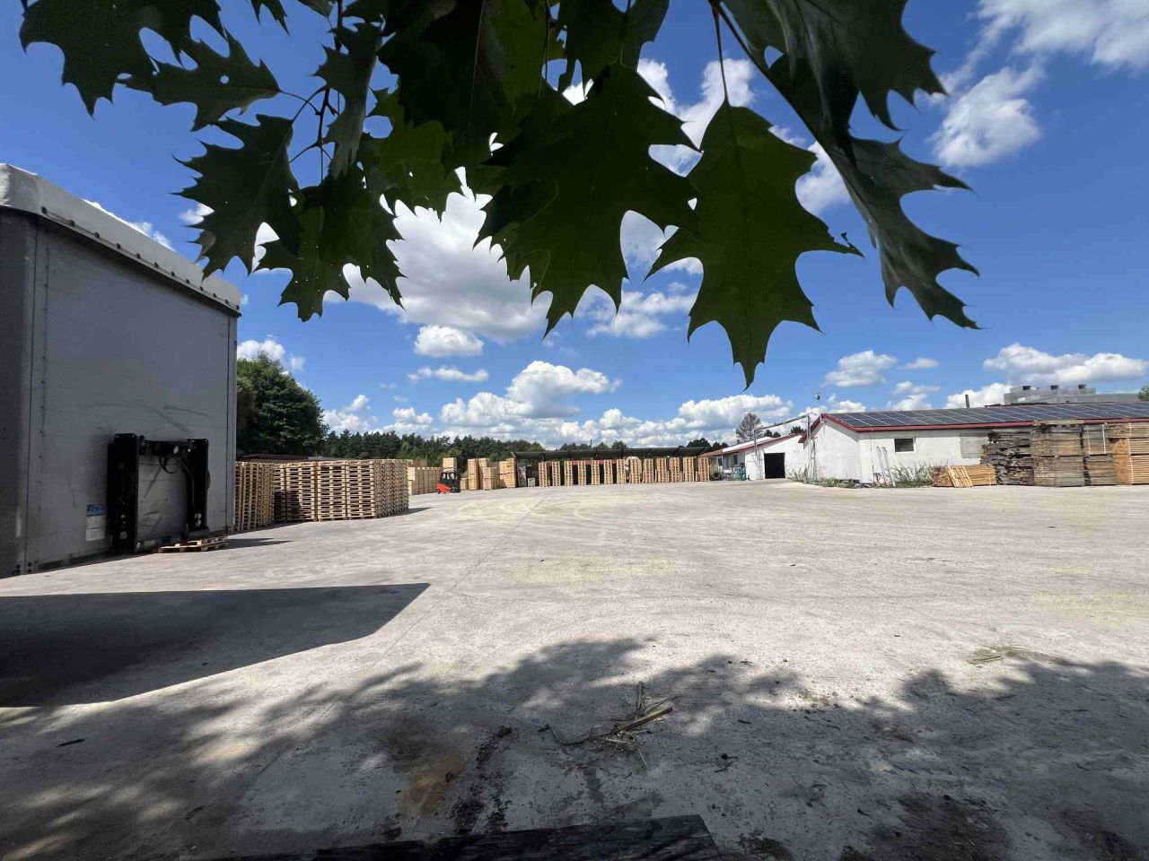 Hala/magazyn Brudzów Młynek, ul. Młynek Brudzowski. Zdjęcie 6