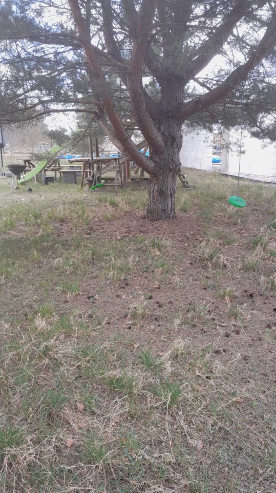 Działka inna Brodnica, ul. Promykowa. Zdjęcie 7