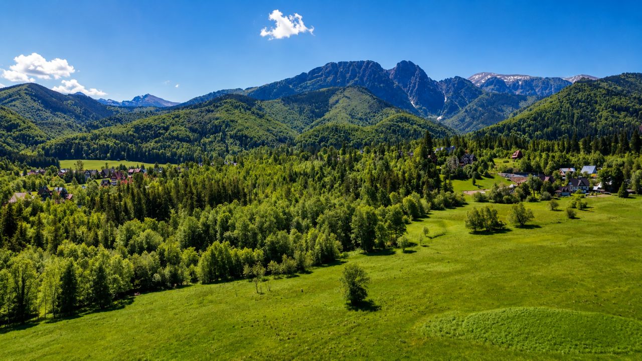 Działka rolna Zakopane, ul. Droga na Wierch. Zdjęcie 2