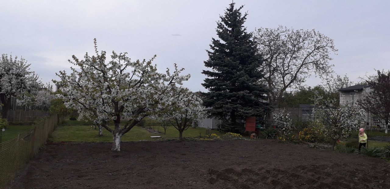 Działka rod Września, ul. Działkowców. Zdjęcie 3