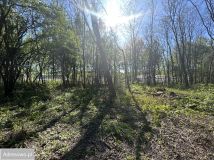 Działka budowlana Musuły, ul. Kwiatu Paproci. Zdjęcie 3