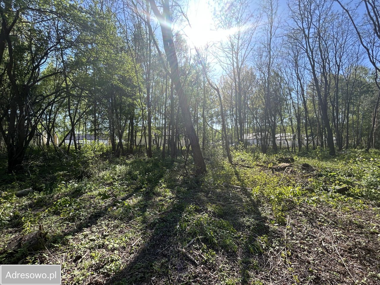 Działka budowlana Musuły, ul. Kwiatu Paproci. Zdjęcie 4