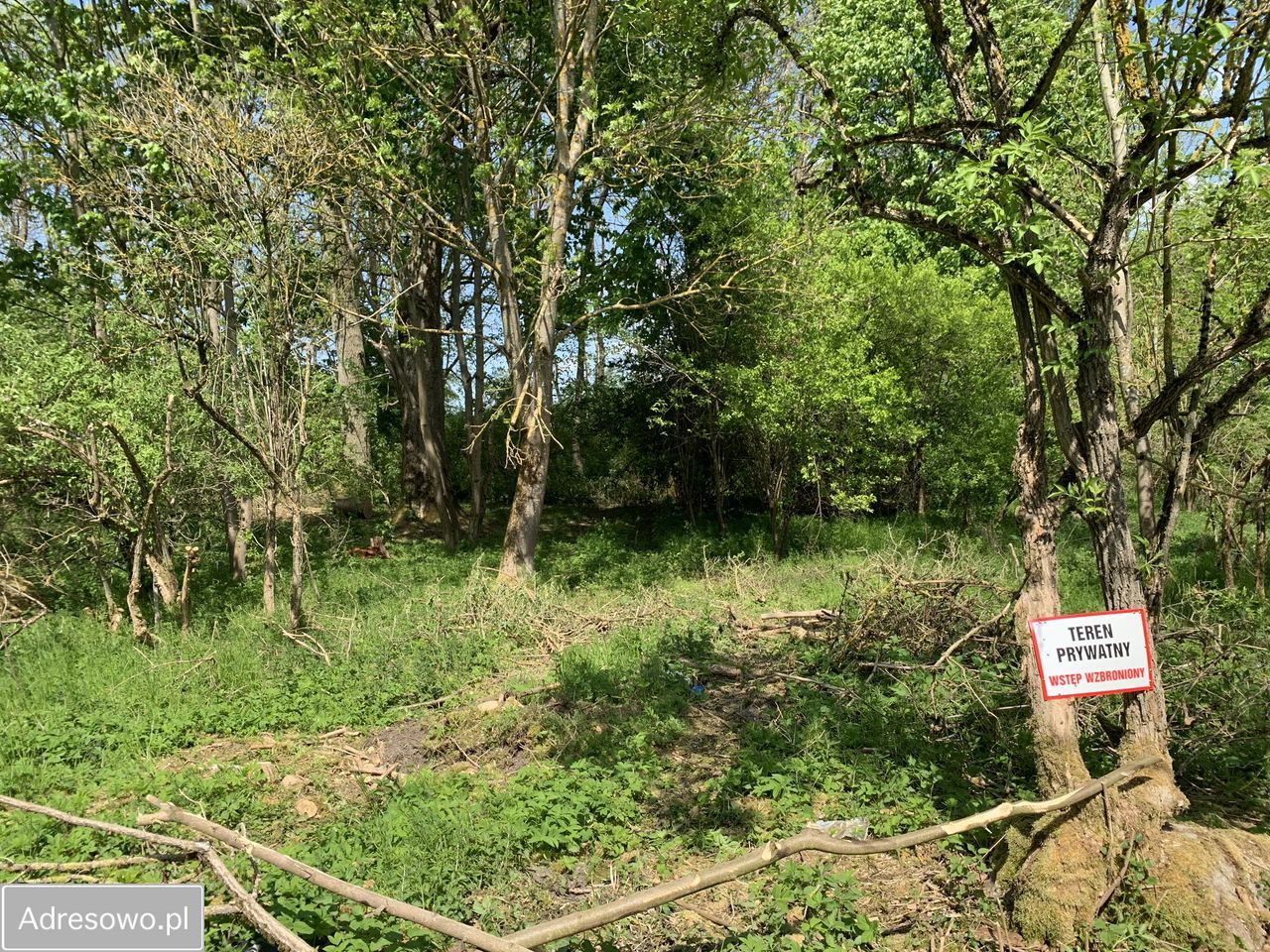 Działka budowlana Miałka. Zdjęcie 15