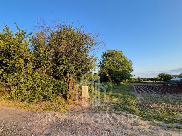 Działka rolna Lublin Węglinek, ul. Folwarczna. Zdjęcie 2