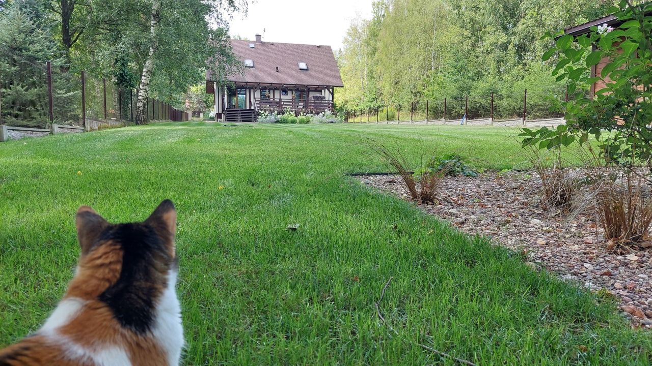 dom wolnostojący, 5 pokoi Przysucha, ul. Świętokrzyska. Zdjęcie 6