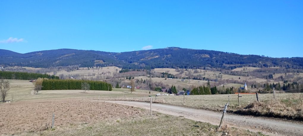 Działka rolna Jodłów. Zdjęcie 2