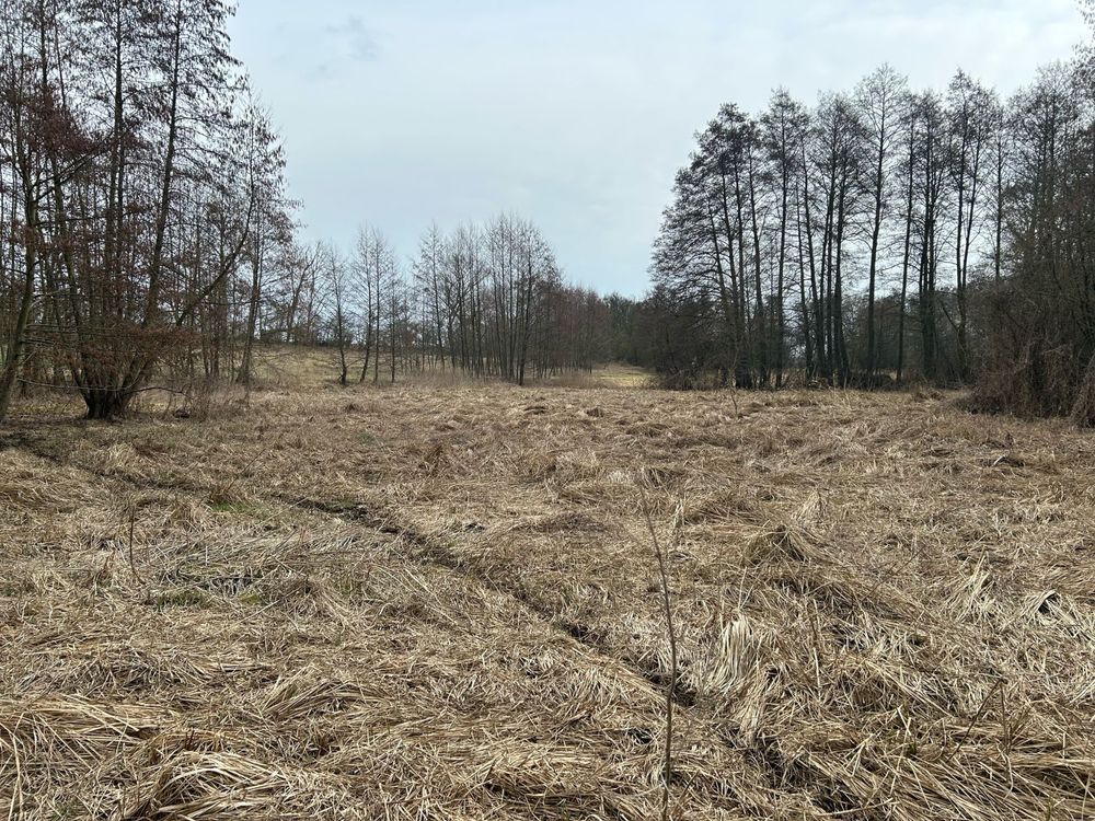 Działka budowlana Pyrzyce, ul. Adama Mickiewicza. Zdjęcie 6