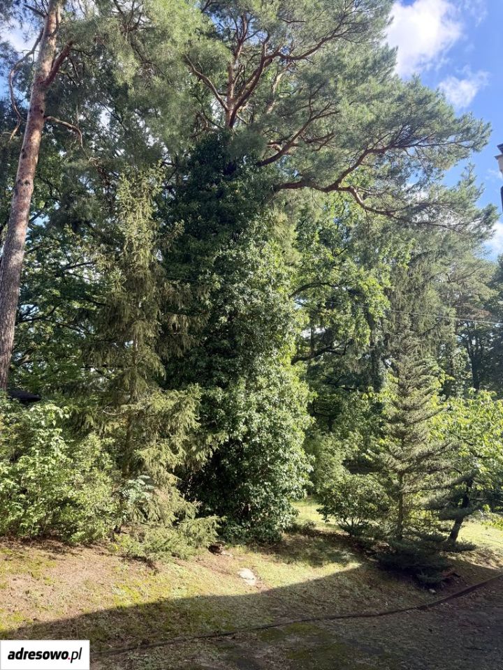 Zdjęcie 8