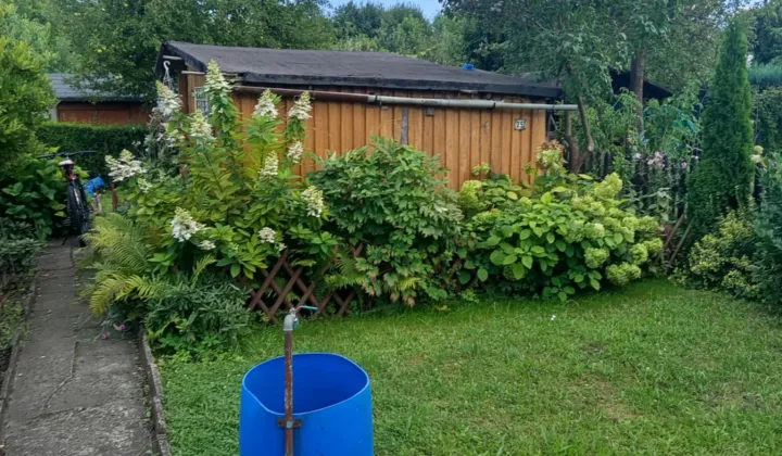 Działka rod Zielona Góra Zacisze, ul. Kręta