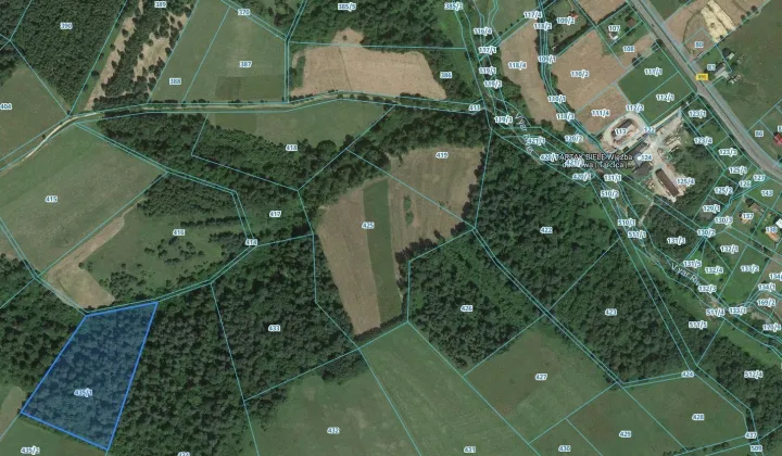 Działka leśna Wojtkowa