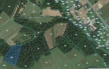 Działka leśna Wojtkowa