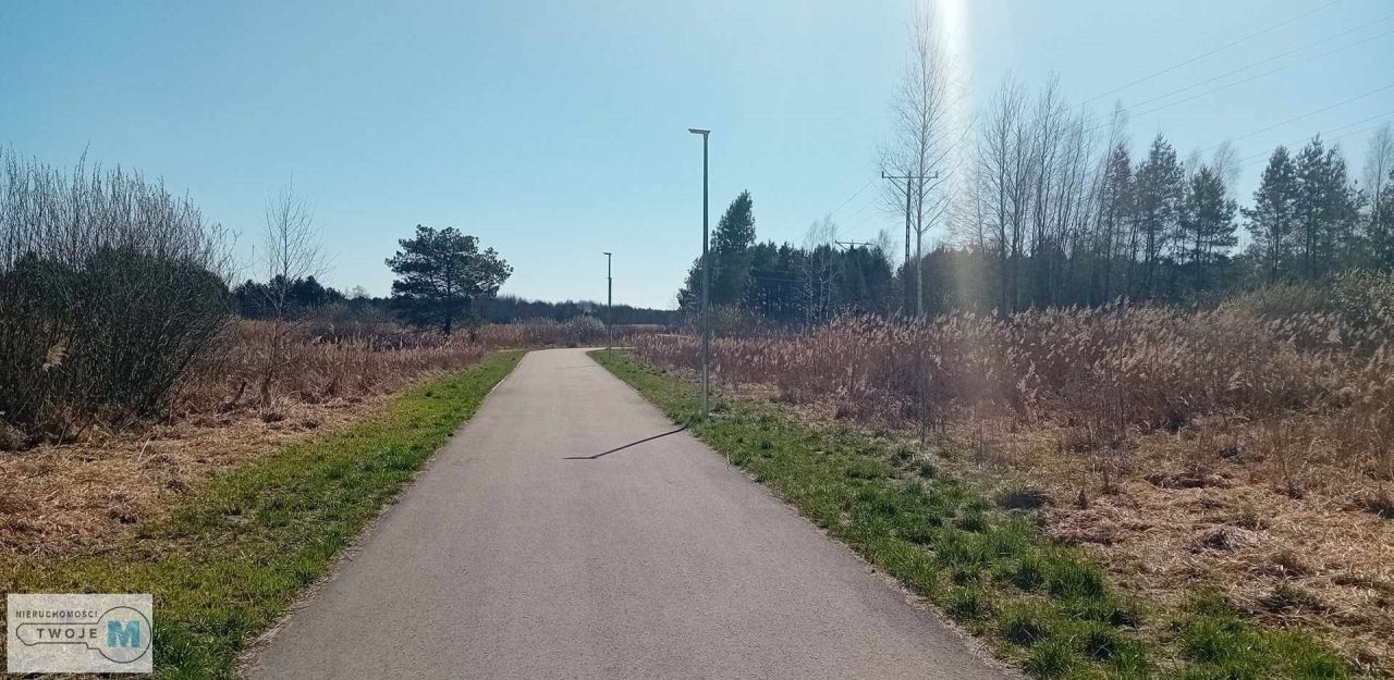 Działka leśna Morawica. Zdjęcie 9