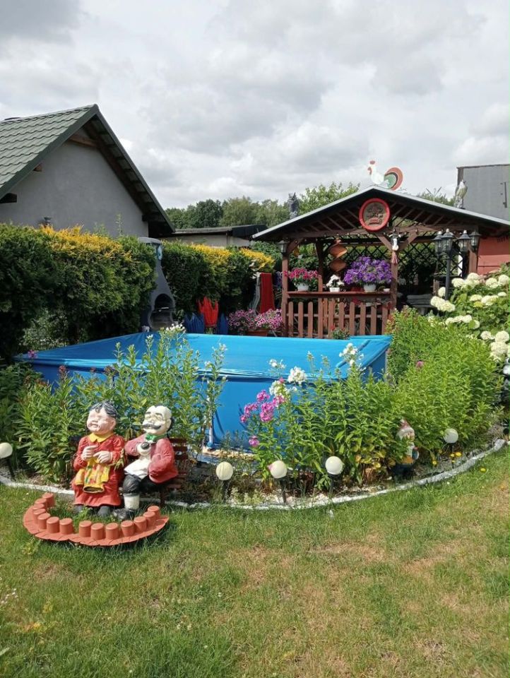 Działka rod Zabrze. Zdjęcie 2