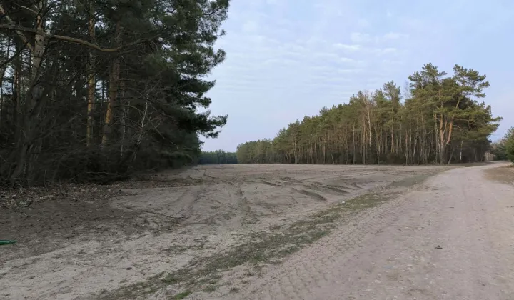 Działka rolno-budowlana Dębinki, ul. Cicha
