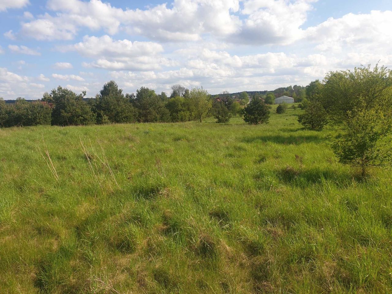 Działka budowlana Napiwoda. Zdjęcie 6