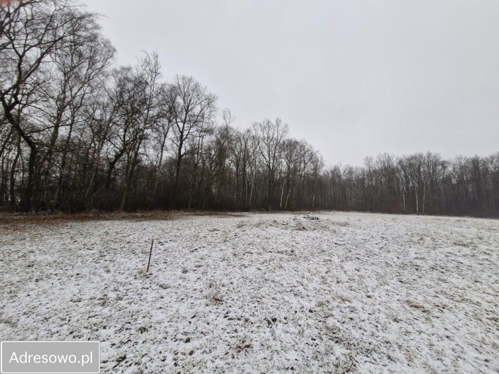 Działka rolno-budowlana Bobrek, ul. Leśna. Zdjęcie 6