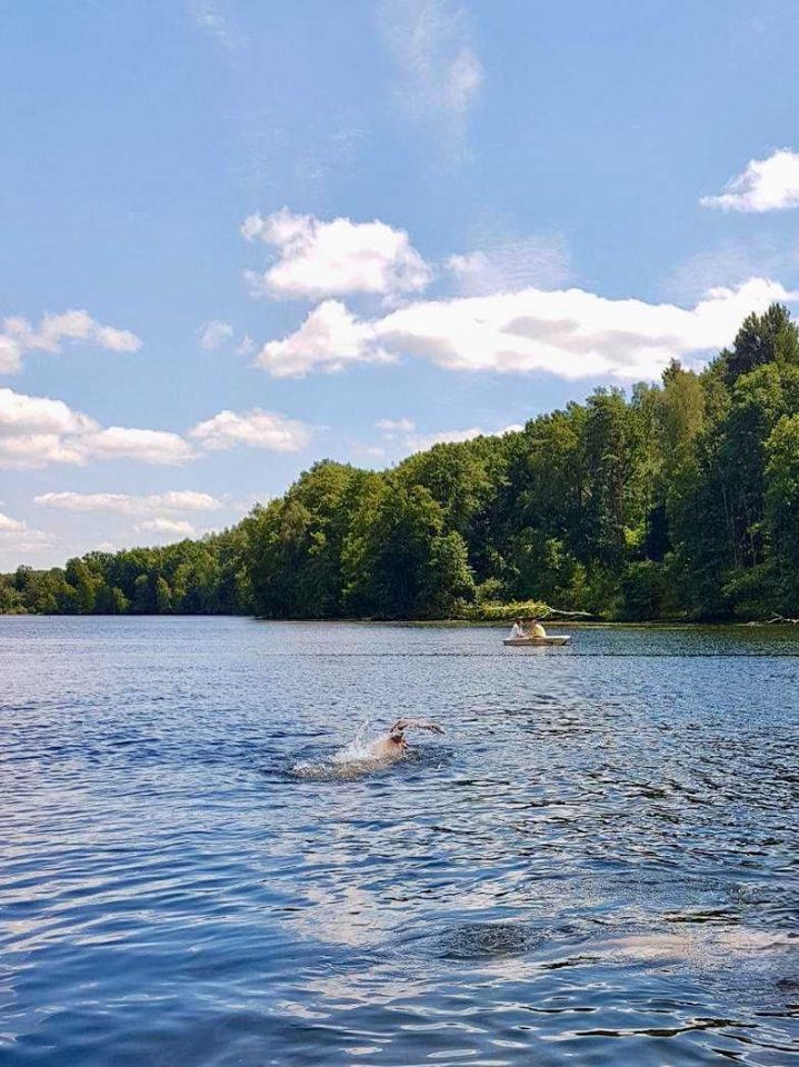 Działka rod Bożenkowo, ul. Rekreacyjna. Zdjęcie 2