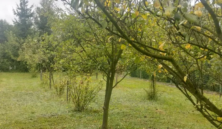 Działka budowlana Głogów Małopolski