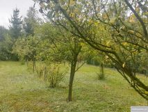 Działka budowlana Głogów Małopolski