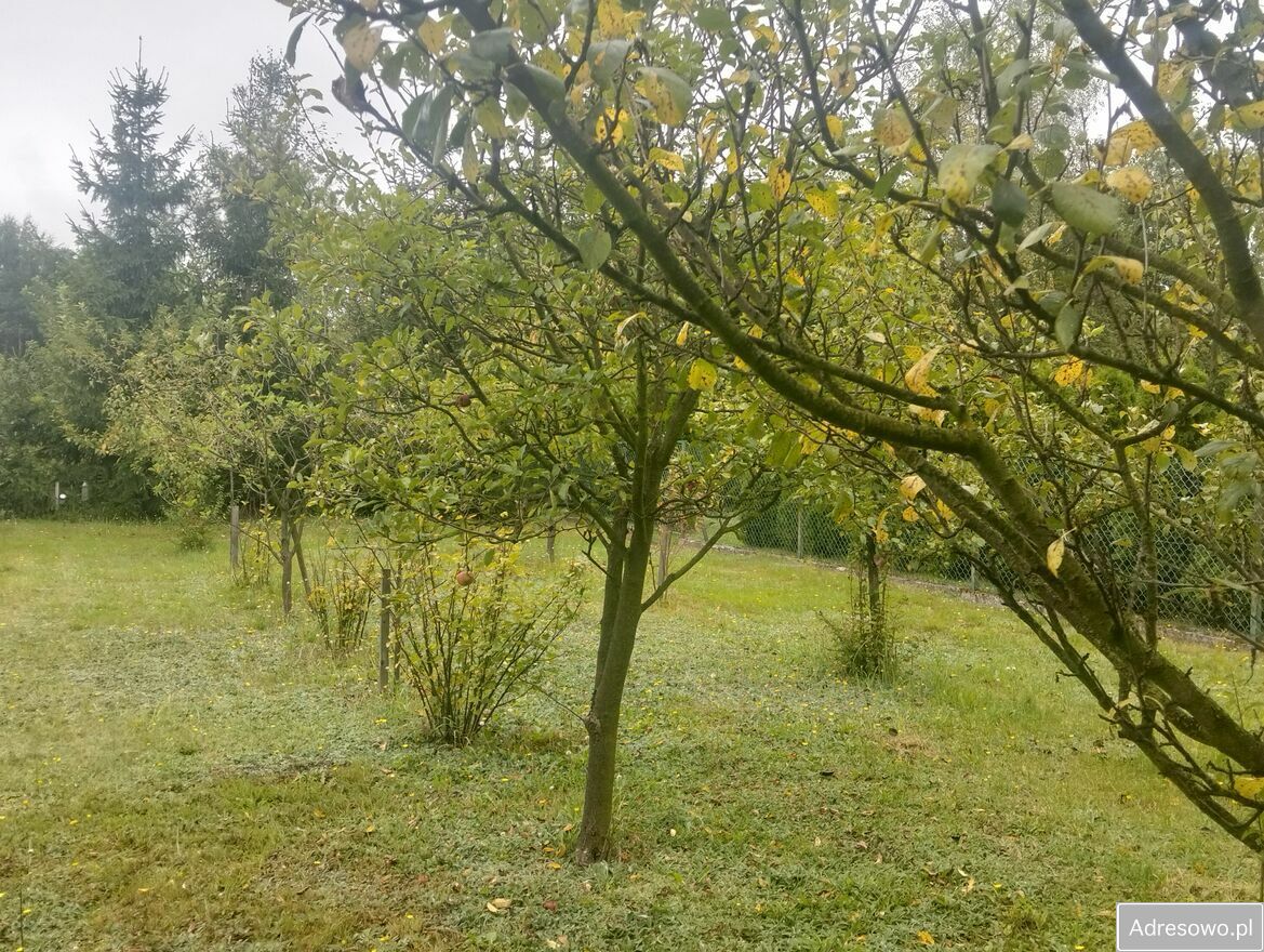 Działka budowlana Głogów Małopolski