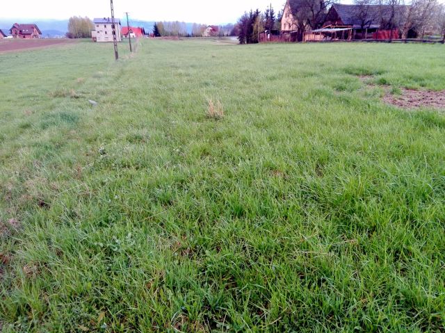 Działka budowlana Stadła. Zdjęcie 1