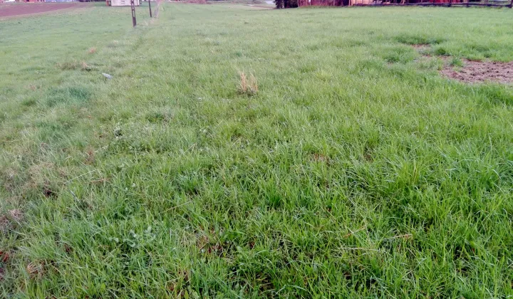 Działka budowlana Stadła