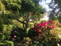 Działka rod Pruszcz Gdański, ul. Nad Radunią. Zdjęcie 3