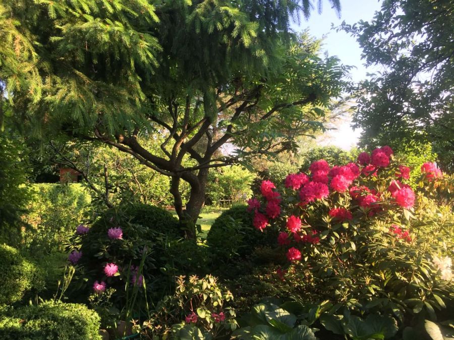 Działka rod Pruszcz Gdański, ul. Nad Radunią. Zdjęcie 4