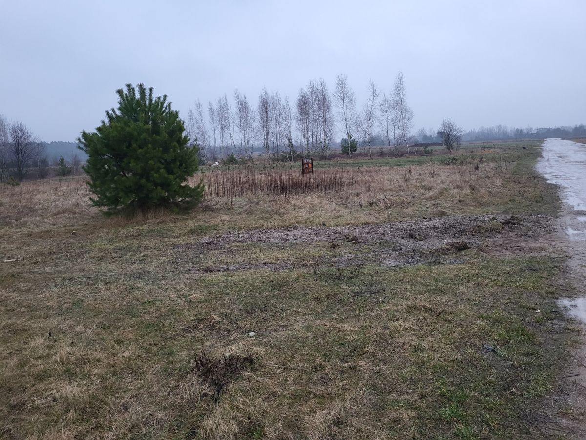 Dzia ka Ma ocice 2312 M2 323 680 Z dzia-ka-ma-ocice-2312-m2-323-680-z