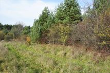 Działka inna Niesułowice Kasprzyki, ul. Żurawia. Zdjęcie 3