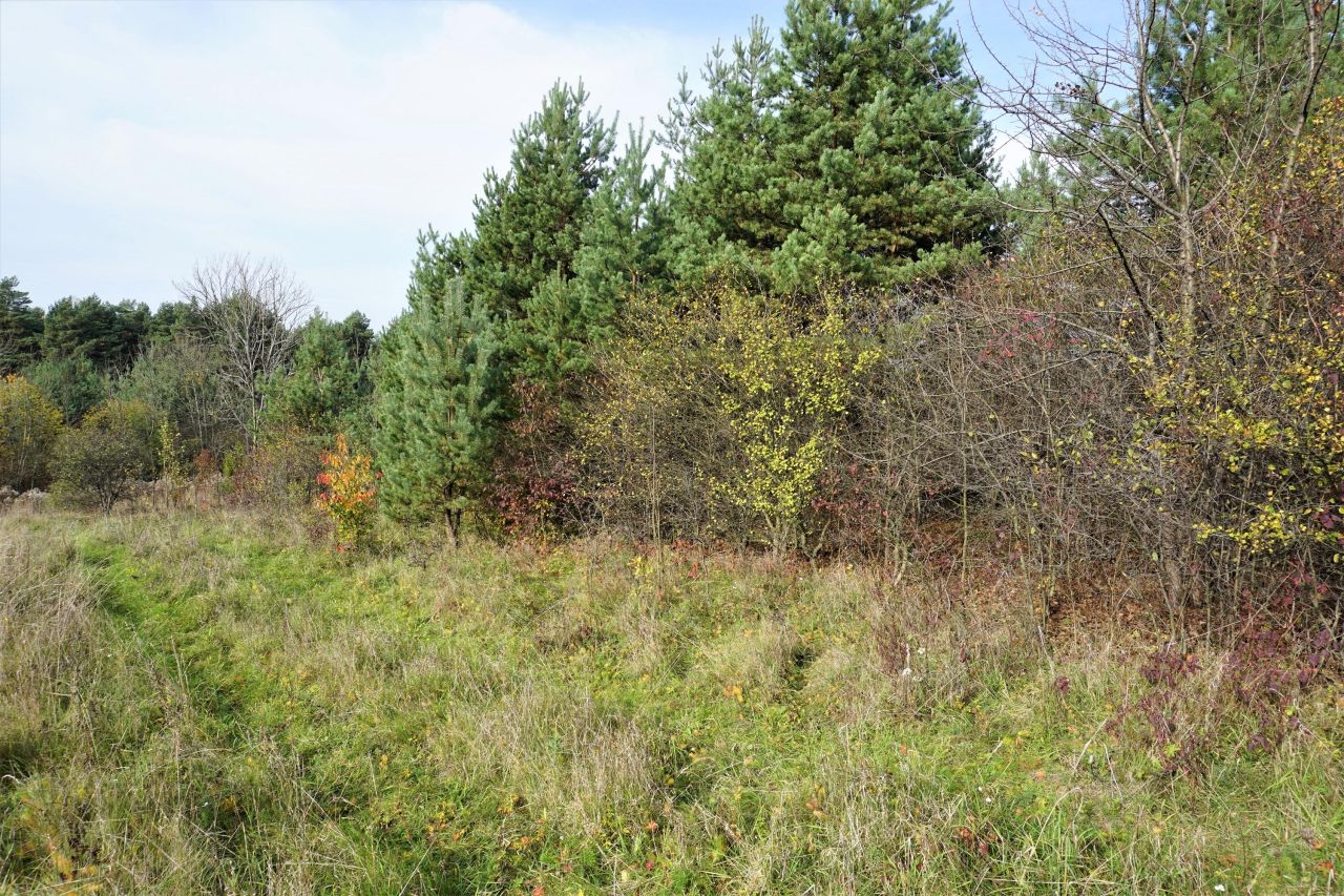 Działka inna Niesułowice Kasprzyki, ul. Żurawia. Zdjęcie 4