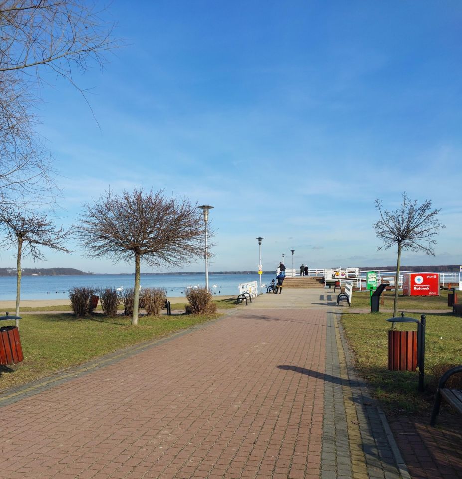 Działka budowlana Nieporęt, ul. Rumiankowa. Zdjęcie 3