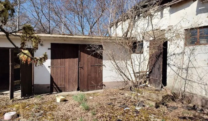 gospodarstwo, 7 pokoi Szczutkowo