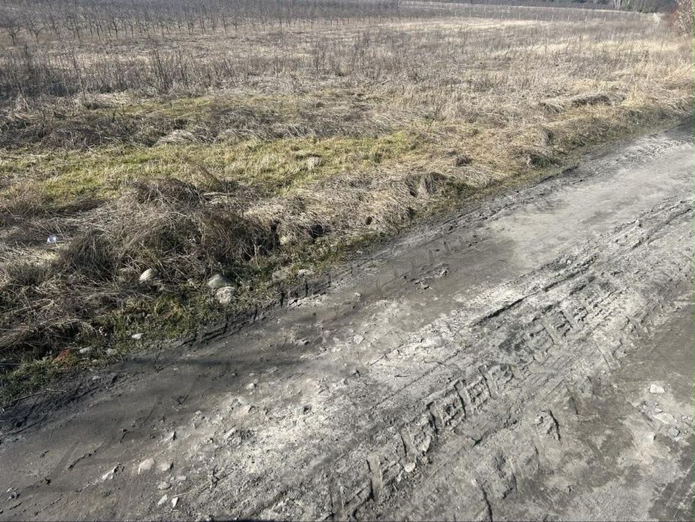 Działka rolna Łaziska. Zdjęcie 3