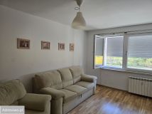 Mieszkanie 1-pokojowe Poznań Winogrady, os. Przyjaźni. Zdjęcie 3