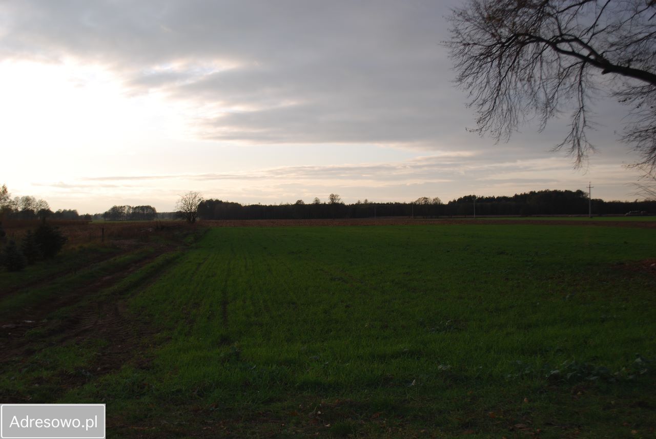 Działka siedliskowa Nowa Tuchorza. Zdjęcie 2