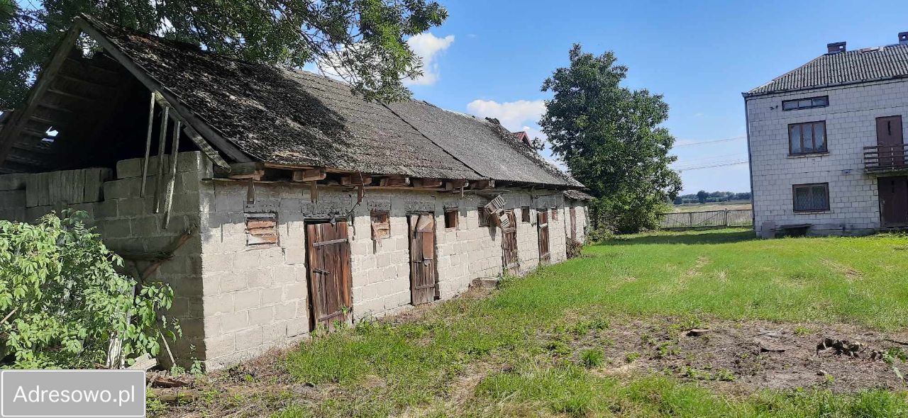 gospodarstwo, 5 pokoi Czerwona. Zdjęcie 4