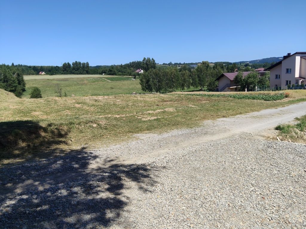 Działka rolna Nowy Borek. Zdjęcie 4