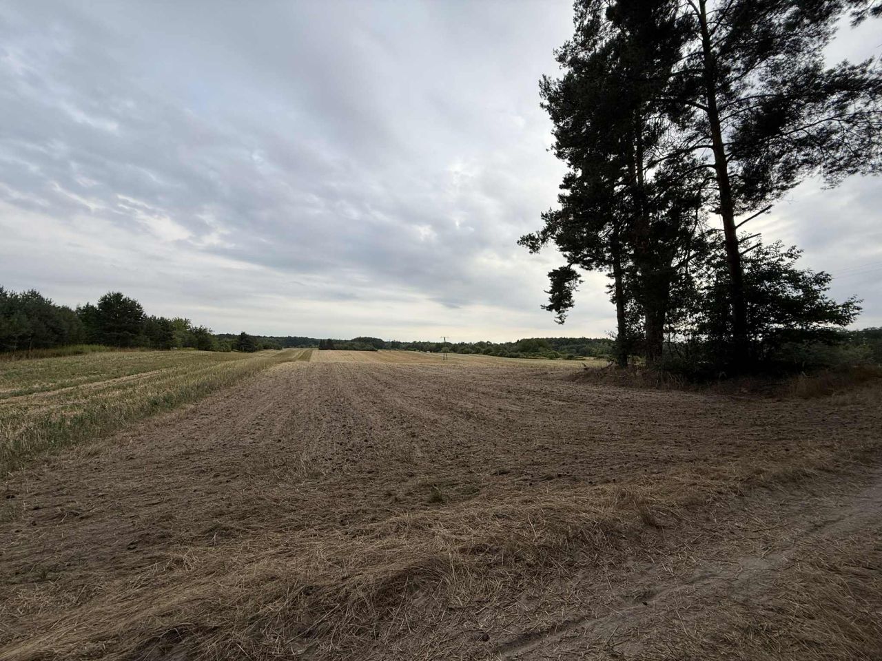 Działka rolno-budowlana Urzędów, ul. Wodna. Zdjęcie 3