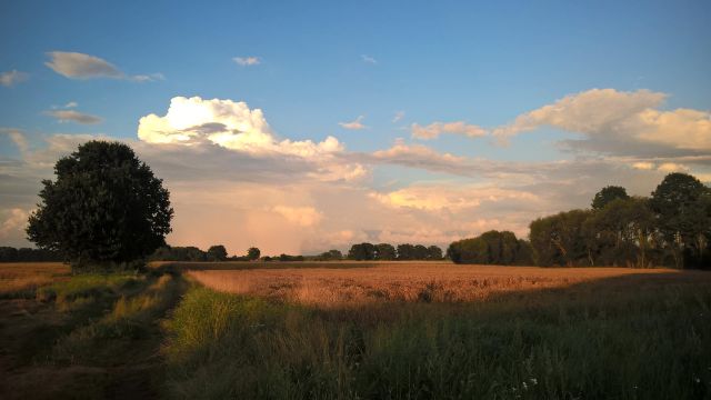 bliźniak, 3 pokoje Sulimierz. Zdjęcie 1