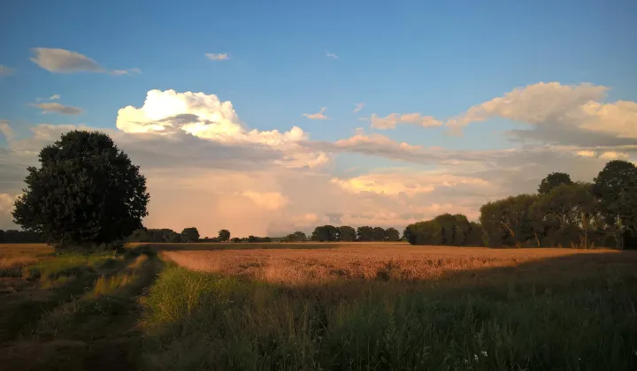 bliźniak, 3 pokoje Sulimierz