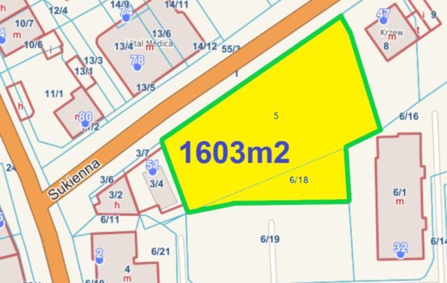Działka inwestycyjna Nowy Dwór Mazowiecki, ul. Sukienna. Zdjęcie 1