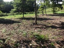 Działka Manasterz. Zdjęcie 1