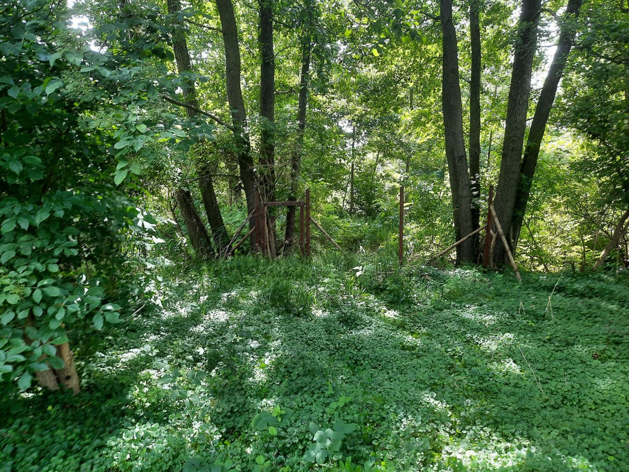 Działka rekreacyjna Minikowo. Zdjęcie 24