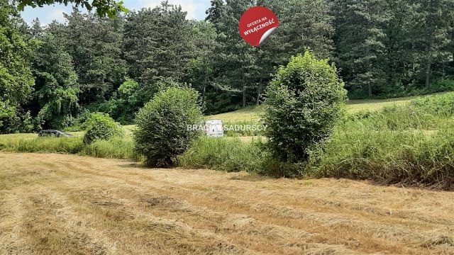 Działka rolna Kraków Dębniki, ul. Walgierza Wdałego. Zdjęcie 1