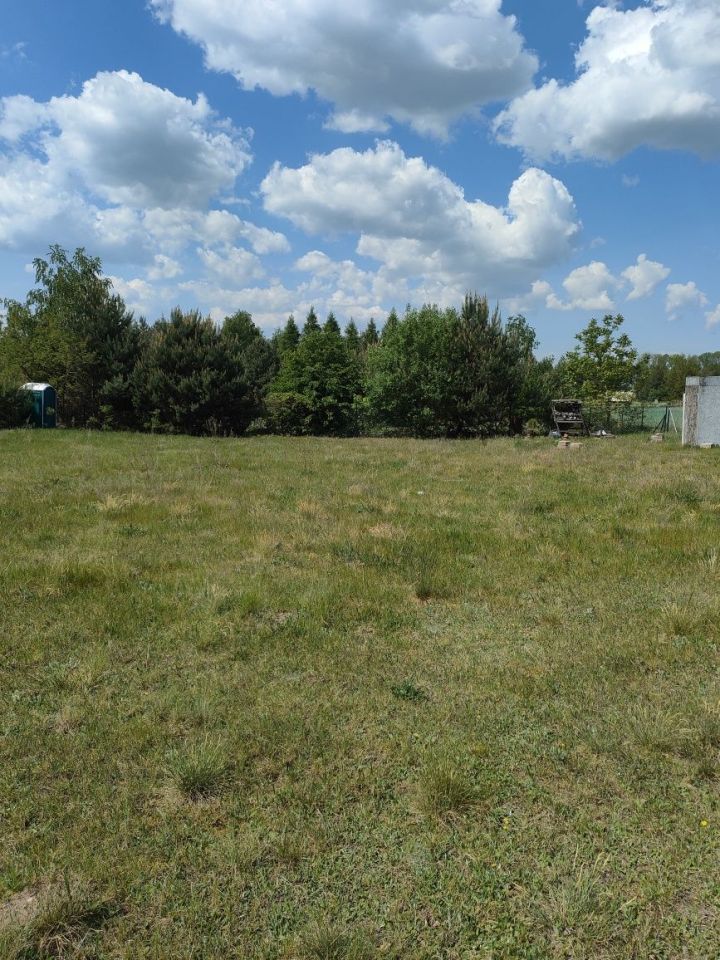 Działka rekreacyjna Lubieniec Wieś Lubieniecka. Zdjęcie 4