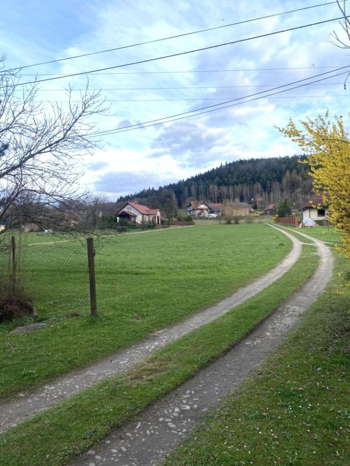 Działka rolno-budowlana Sobolów. Zdjęcie 2