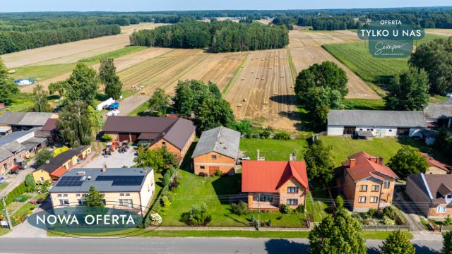 dom wolnostojący, 7 pokoi Borszewice Kościelne. Zdjęcie 23