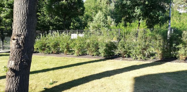 dworek, 5 pokoi Warszawa Wawer, ul. Izbicka. Zdjęcie 17